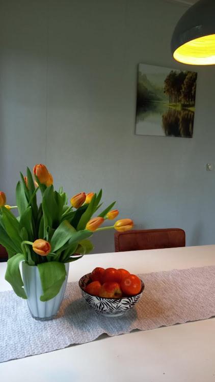 Woudthuisje Laag-Soeren Exteriér fotografie